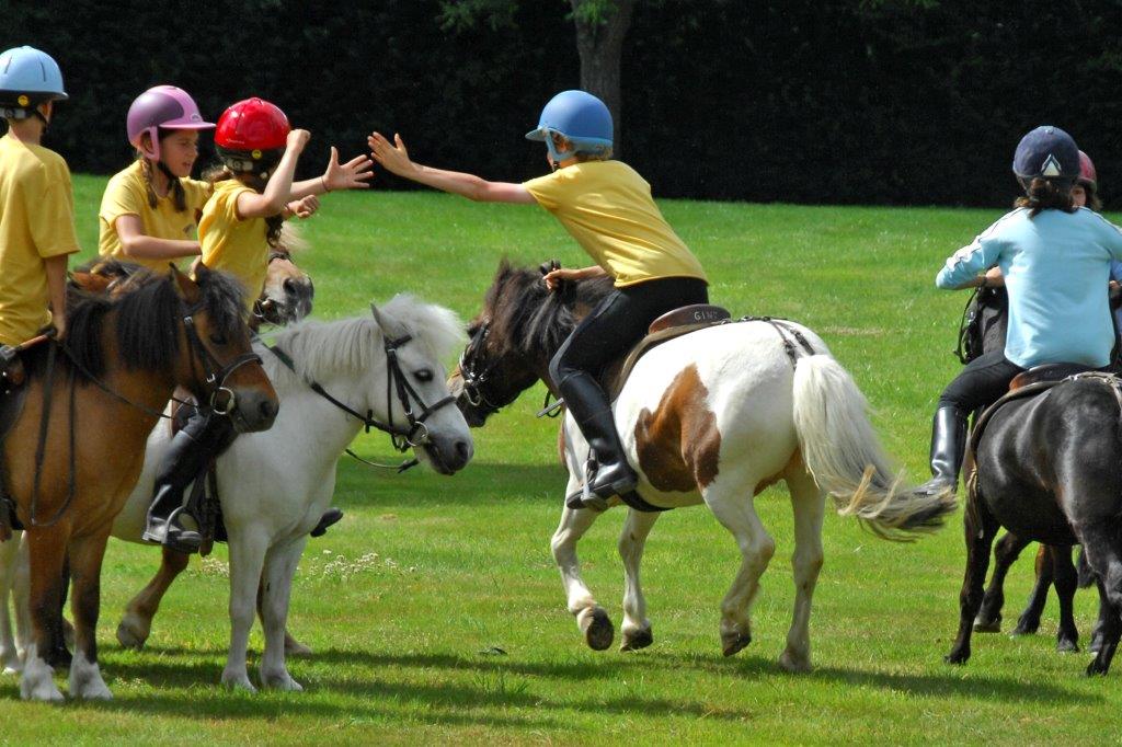 Stage pony games à partir de G2 (moins de 13 ans) - Centre Le Comte