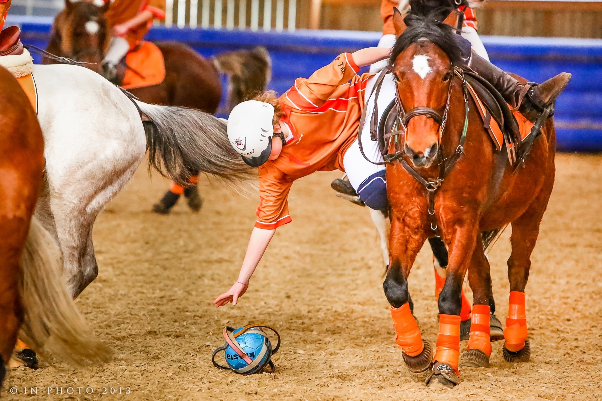 Stage horse ball Centre équestre Le Comte à Hem