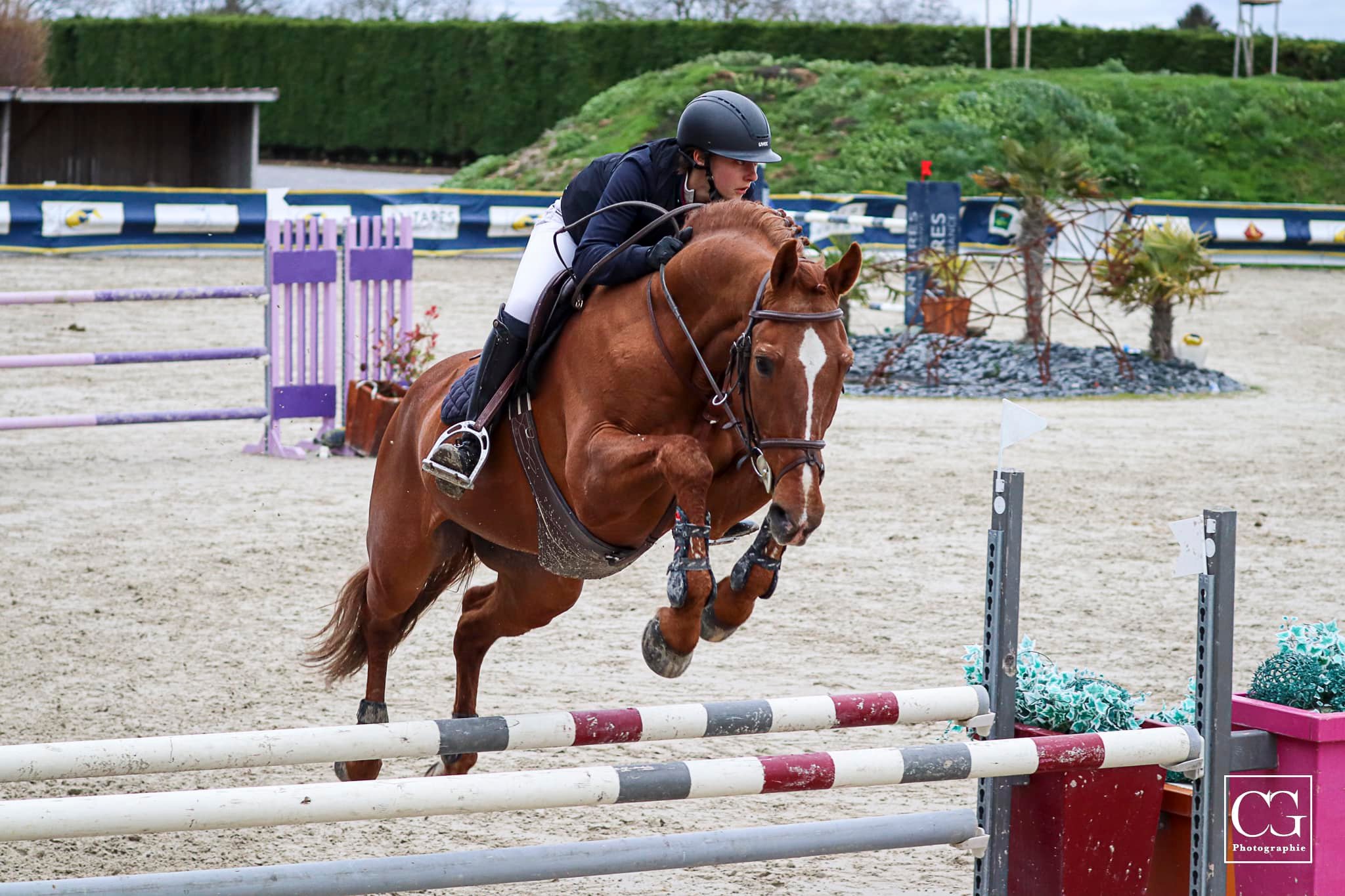 Concours officiel HUNTER Centre équestre Le Comte